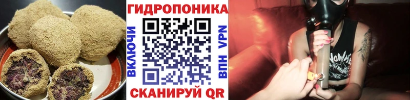 Cannafood марихуана Пионерский