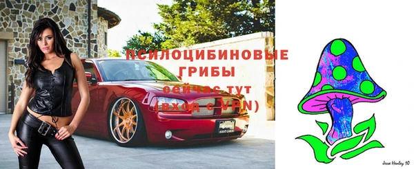 МДМА Белокуриха