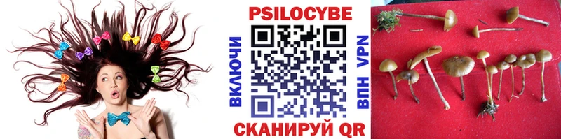 Псилоцибиновые грибы прущие грибы Пионерский